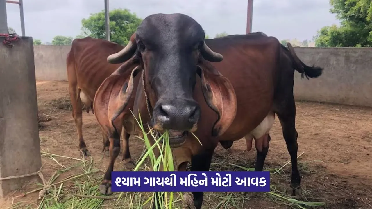 Animal Husbandry Success Story 1.jpeg