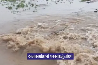 Banaskantha Rain Damage 1