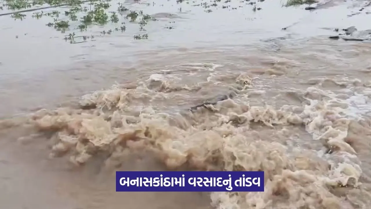 Banaskantha Rain Damage 1.jpeg