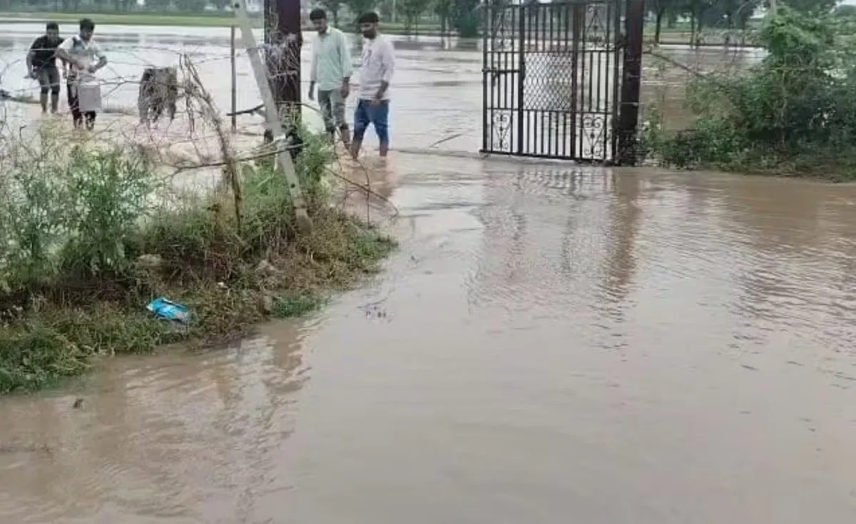 Banaskantha Rain Damage 2.jpeg