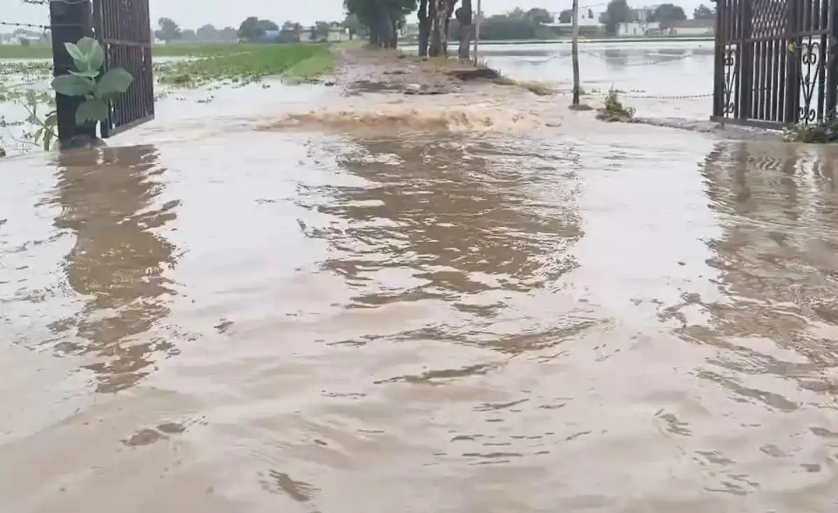 Banaskantha Rain Damage 3.jpeg