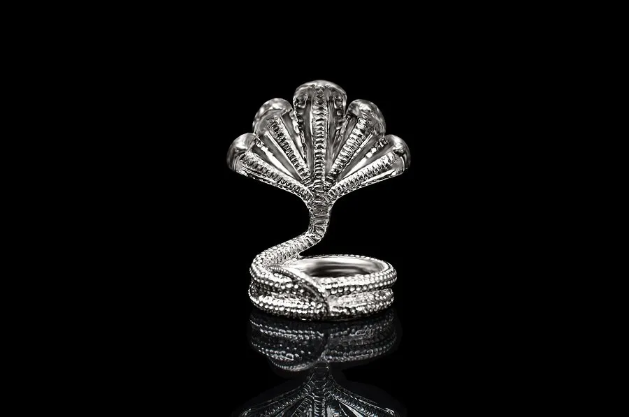 નાગ પંચમી: જાણો કઈ વસ્તુઓનું દાન કરવાથી નાગદેવતાના આશીર્વાદ મળે છે અને સંકટો ટળે છે! 3 nag panchami 1.jpg