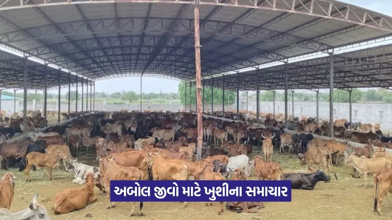Animal Hospital Foundation Gujarat 1.jpeg