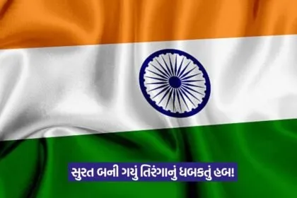 Flag manufacturing Surat 1