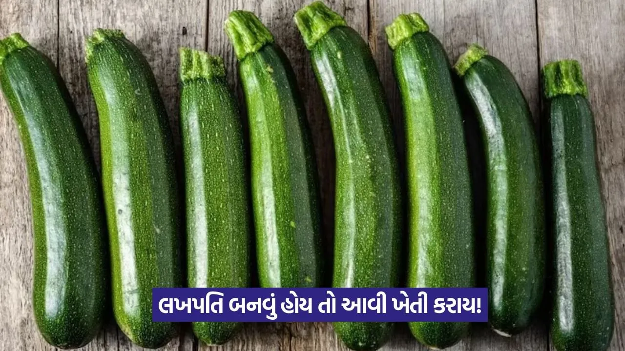 Exotic vegetable farming for high profit 1.jpeg