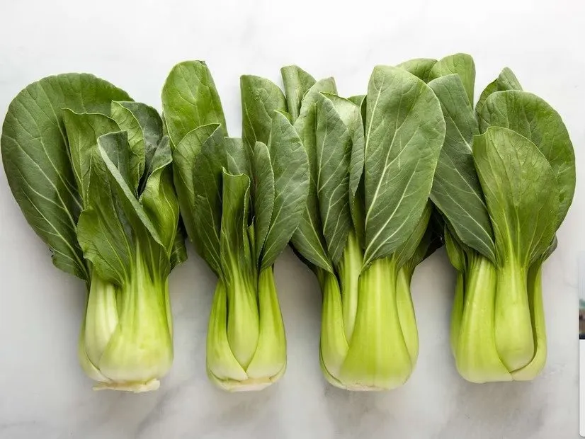 Exotic vegetable farming for high profit 2.jpeg