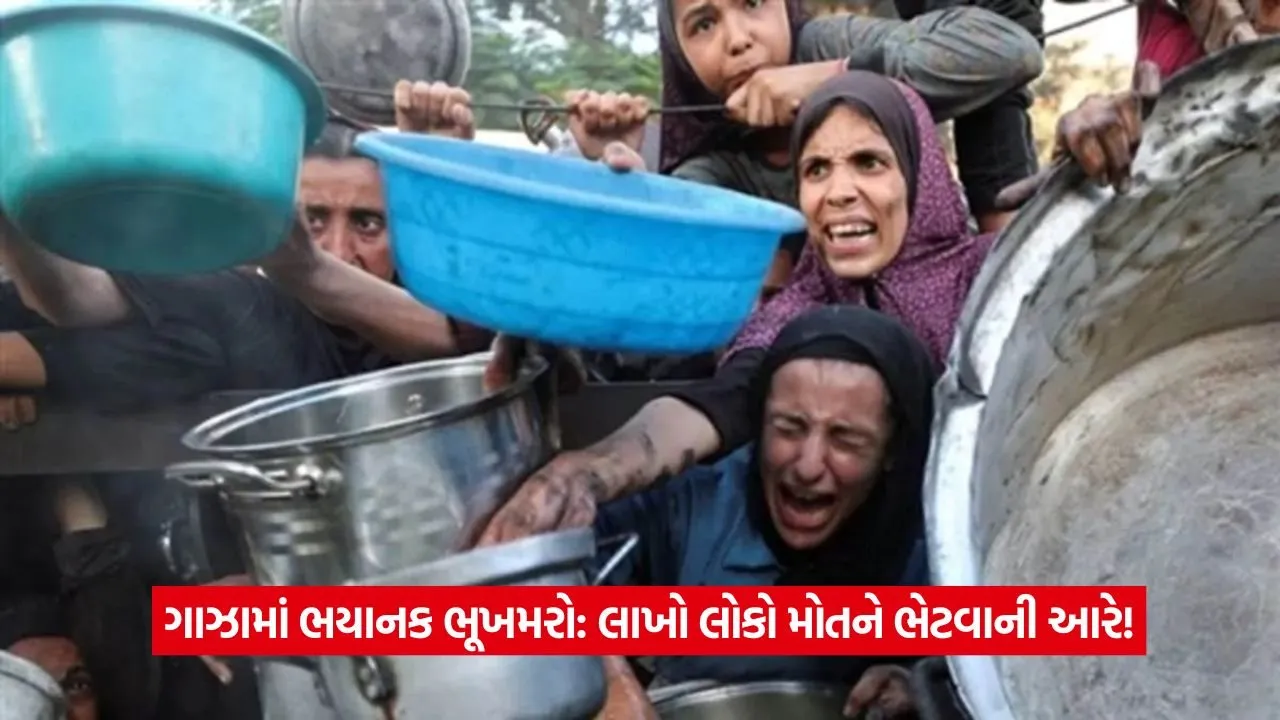 gaza3.jpg