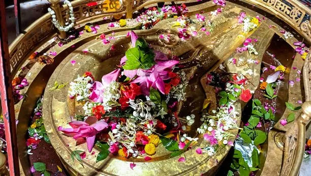 Floral waste reuse Navsari 1.jpg