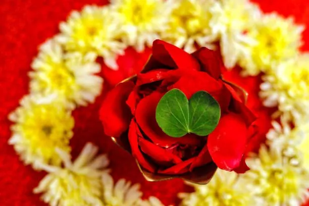 Floral waste reuse Navsari 3.jpg