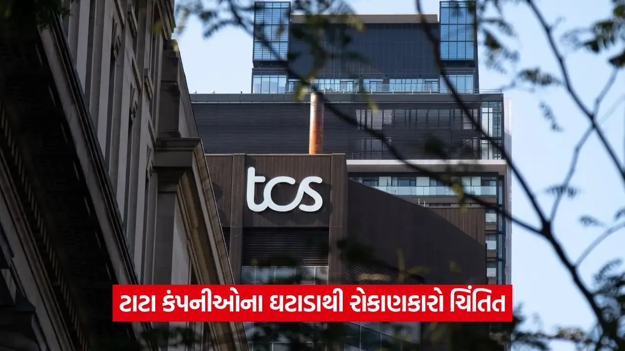 tcs 12 1.jpg