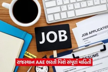 jobs 213