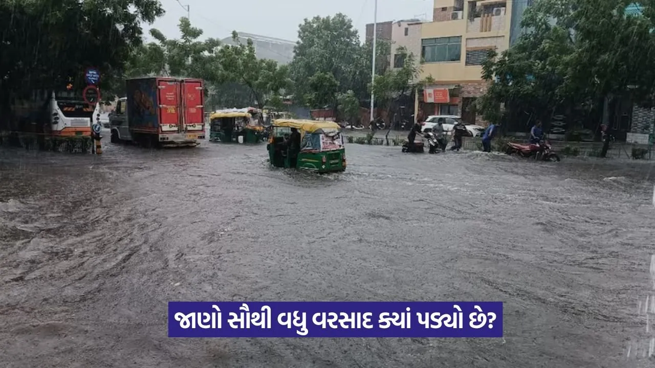 Gujarat Monsoon Rainfall 2025 1.jpeg