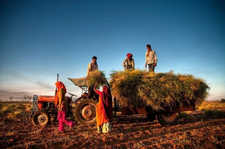 Fasal Bima Yojana 2025 1.jpg