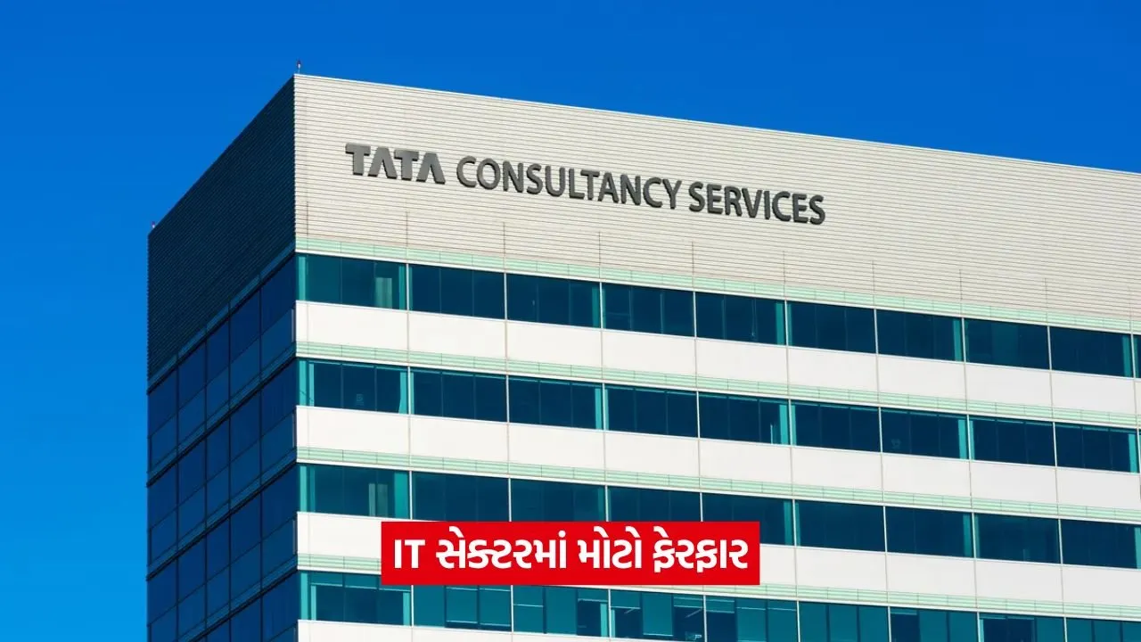 tcs 12 2.jpg