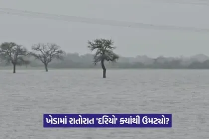 Kheda farmland flood 2025 1
