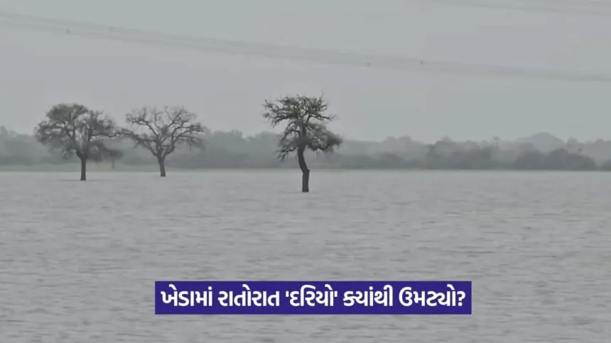 Kheda farmland flood 2025 1