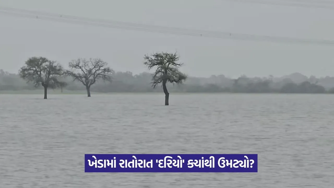 Kheda farmland flood 2025 1.jpeg