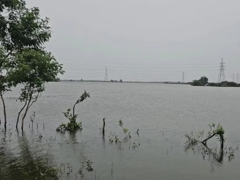 Kheda farmland flood 2025 2.jpeg