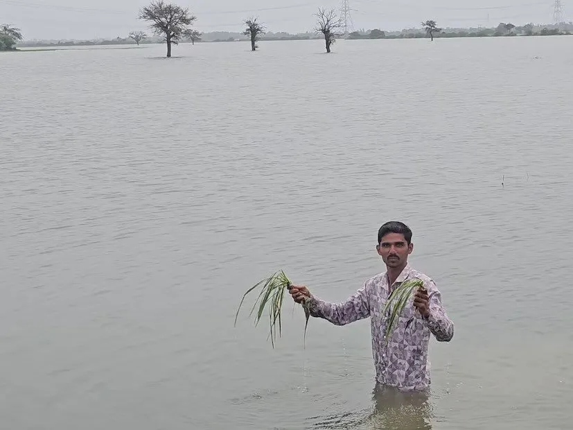 Kheda farmland flood 2025 3.jpeg