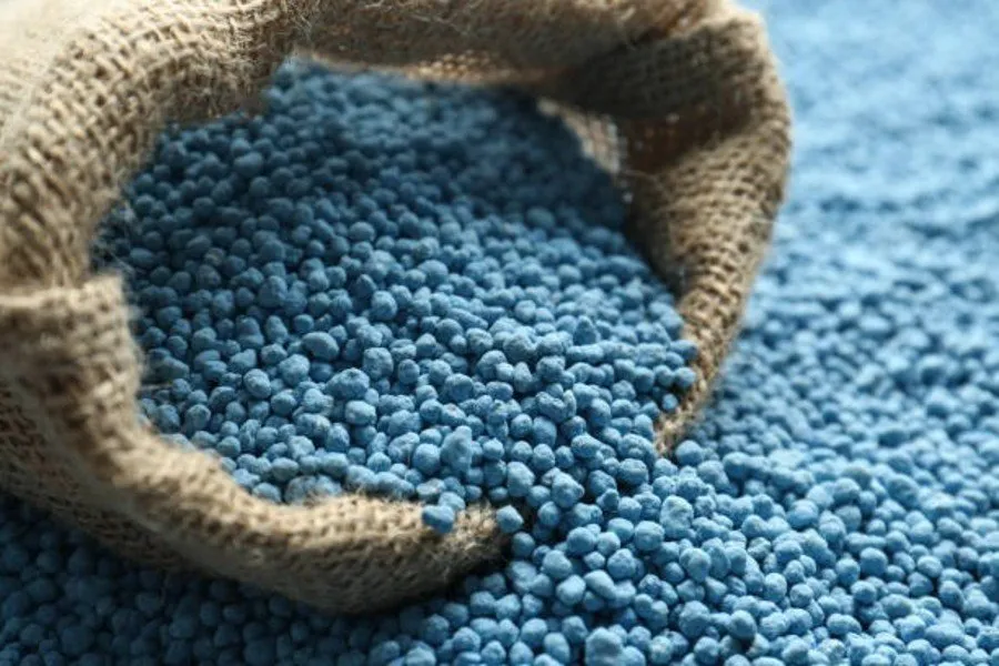 Fertilizer shortage in Navsari 2025 1.jpg