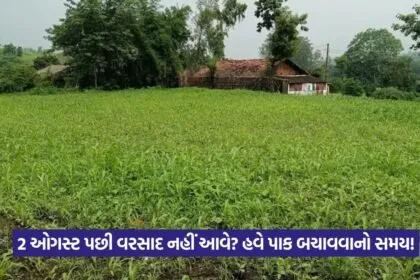 Monsoon forecast Gujarat August 1