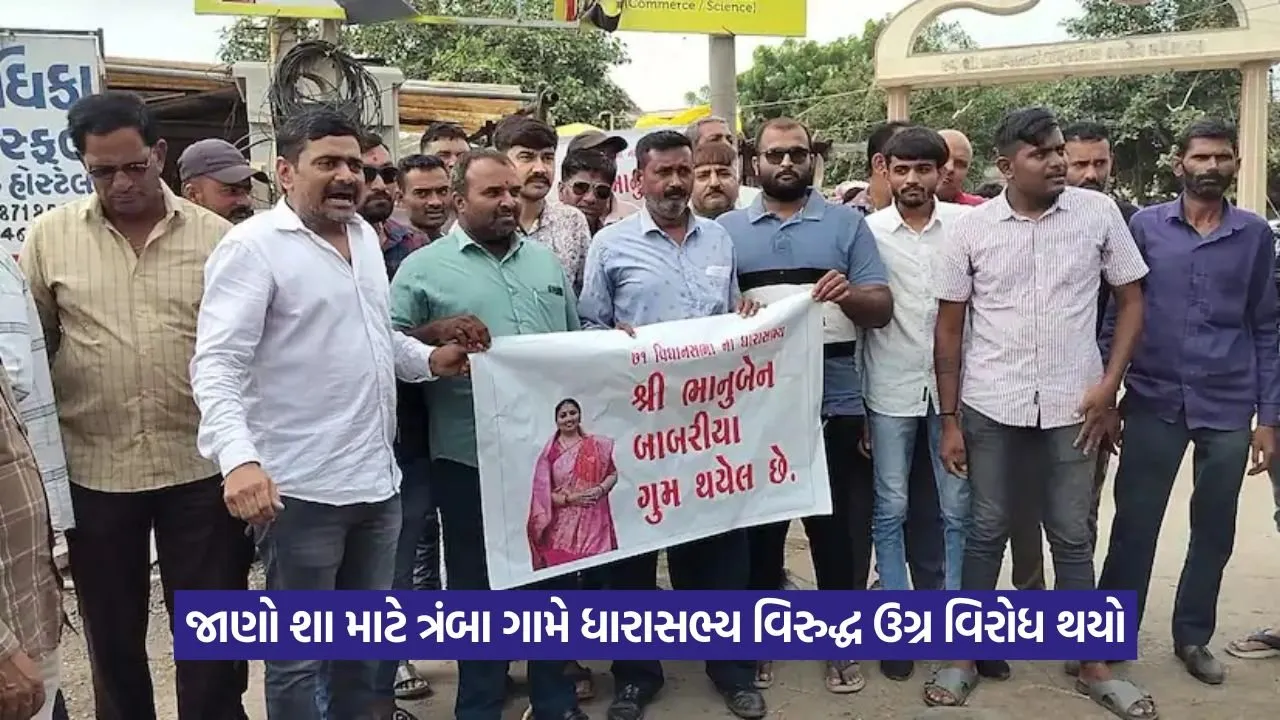MLA Missing Poster Village Protest.jpeg