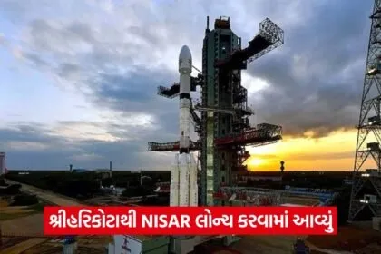 nisar 3007
