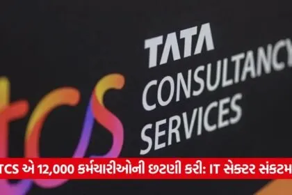 tcs 13