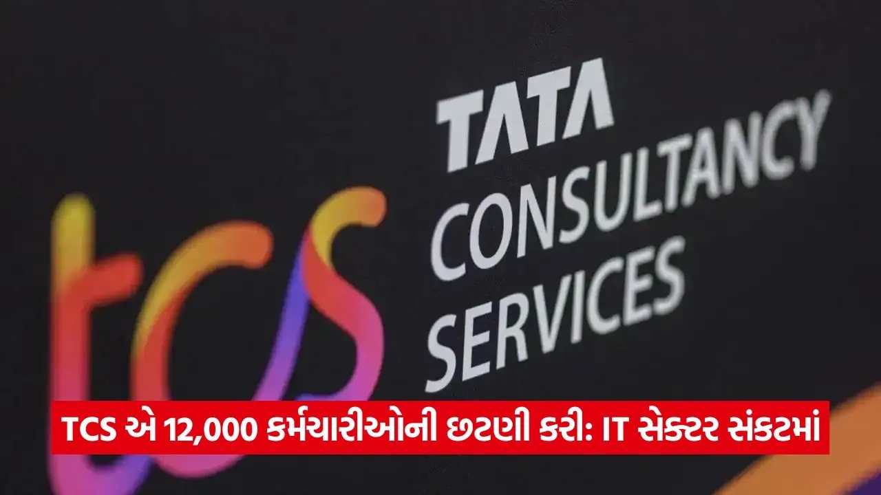 tcs 13.jpg
