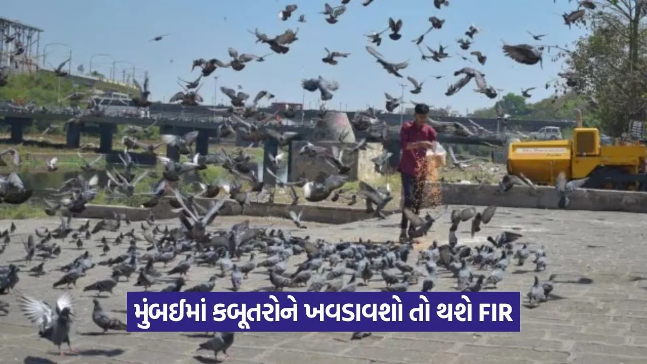Pigeon 3107.jpg