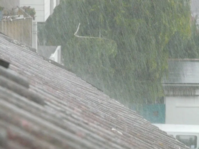 Ambalal Patel prediction for August rain 2.jpeg
