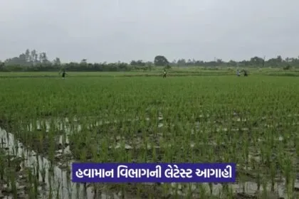gujarat rain 4