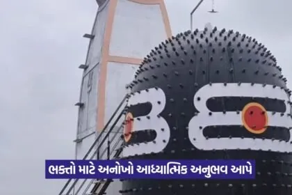 Narmadeshwar Shivling in Surat 2