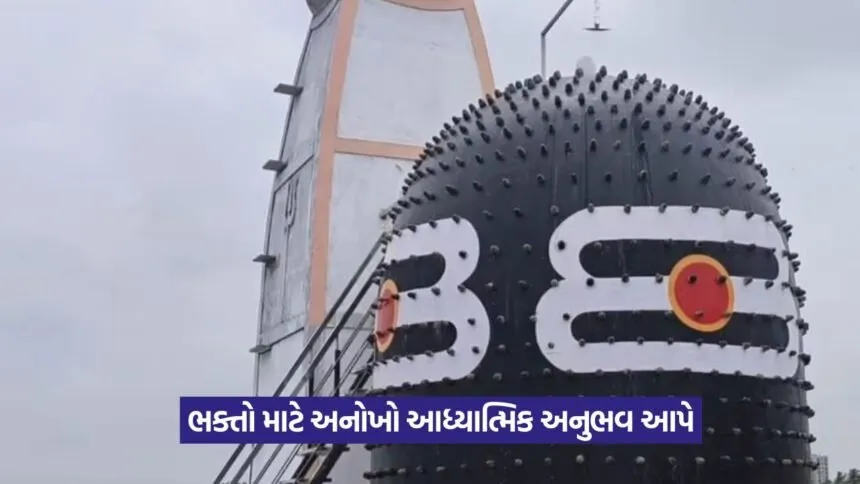 Narmadeshwar Shivling in Surat 2