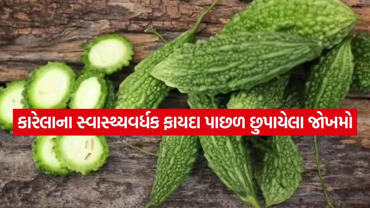 bitter gourd 2904.jpg