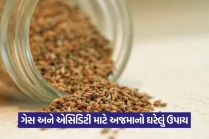 Ajwain 1507