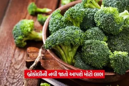 Broccoli Farming Profit