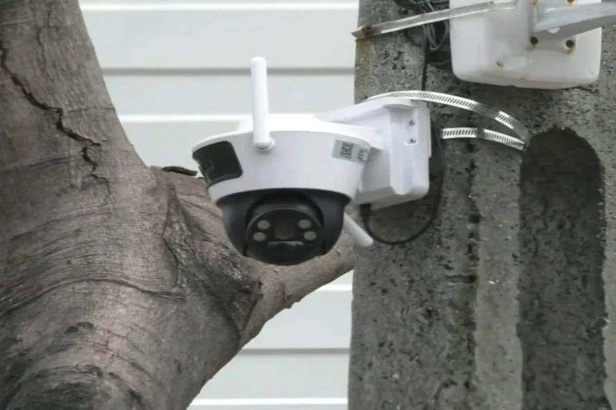 CCTV monitoring Navsari : નવસારીમાં જાહેરમાં ગંદકી કરશો તો CCTV પરથી સીધી ઓળખ 2 CCTV monitoring Navsari