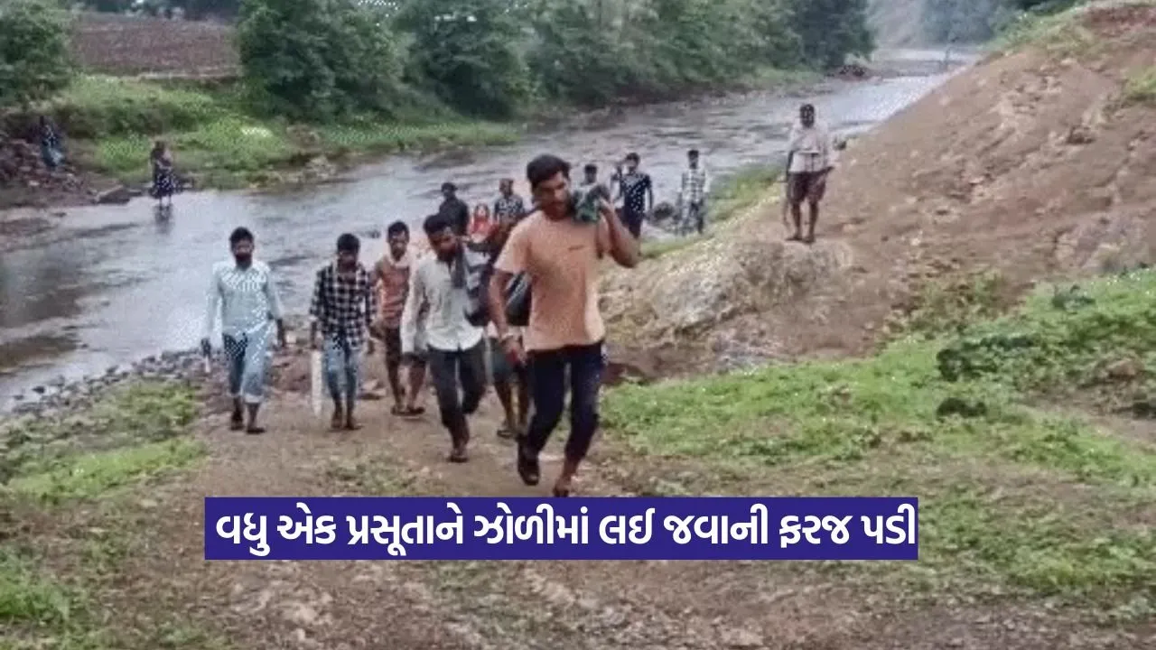 Chhota Udepur maternity crisis: છોટા ઉદેપુરમાં ફરી એક વખત જીવના જોખમે પ્રસૂતાને ઝોળીમાં લઈ જવાની ફરજ પડી 16 Chhota Udepur maternity crisis