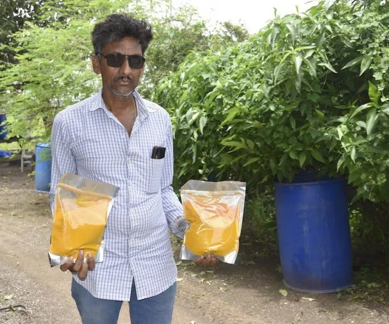 Cow-Based Natural Farming: ગાય આધારિત ખેતીથી ખેડૂતોને લાખોનો નફો 2 Cow-Based Natural Farming