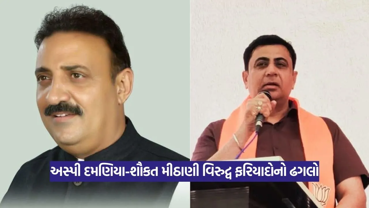 Daman: અસ્પી દમણિયા-શૌકત મીઠાણી વિરુદ્વ ફરિયાદોનો ઢગલો,બન્ને નેતાઓને ભાજપમાંથી સસ્પેન્ડ કરવા શાની જોવાય છે રાહ? પ્રફુલ પટેલનું અકળાવતું અકળ મૌન 1 Daman 9.jpg