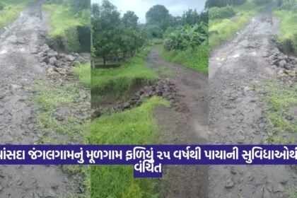 Dharampur main