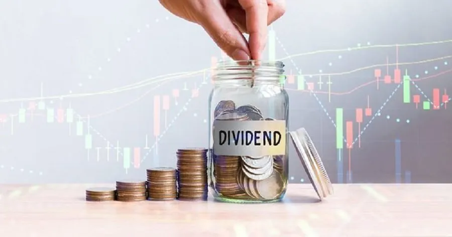 Dividend.1.jpg