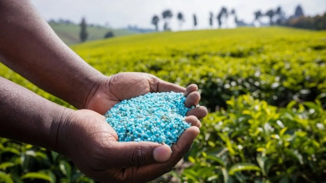 Fake Fertilizer Ban India: શિવરાજ સિંહ ચૌહાણે નકલી ખાતર વેચાણ પર કડક નિયંત્રણ મુક્યું 3 Fake Fertilizer.jpg