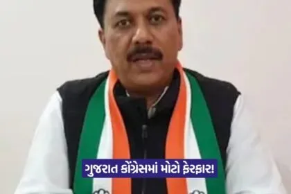 Gujarat Congress President