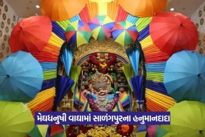 Hanumanji decoration Salangpur