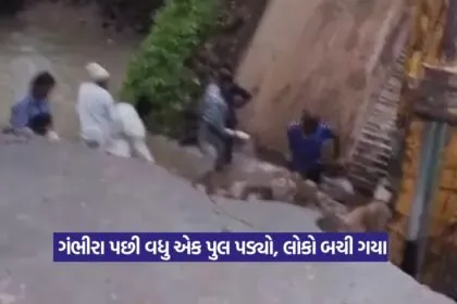 Junagadh bridge collapse