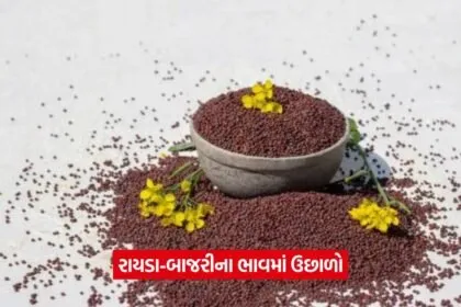 Mehsana Market Yard