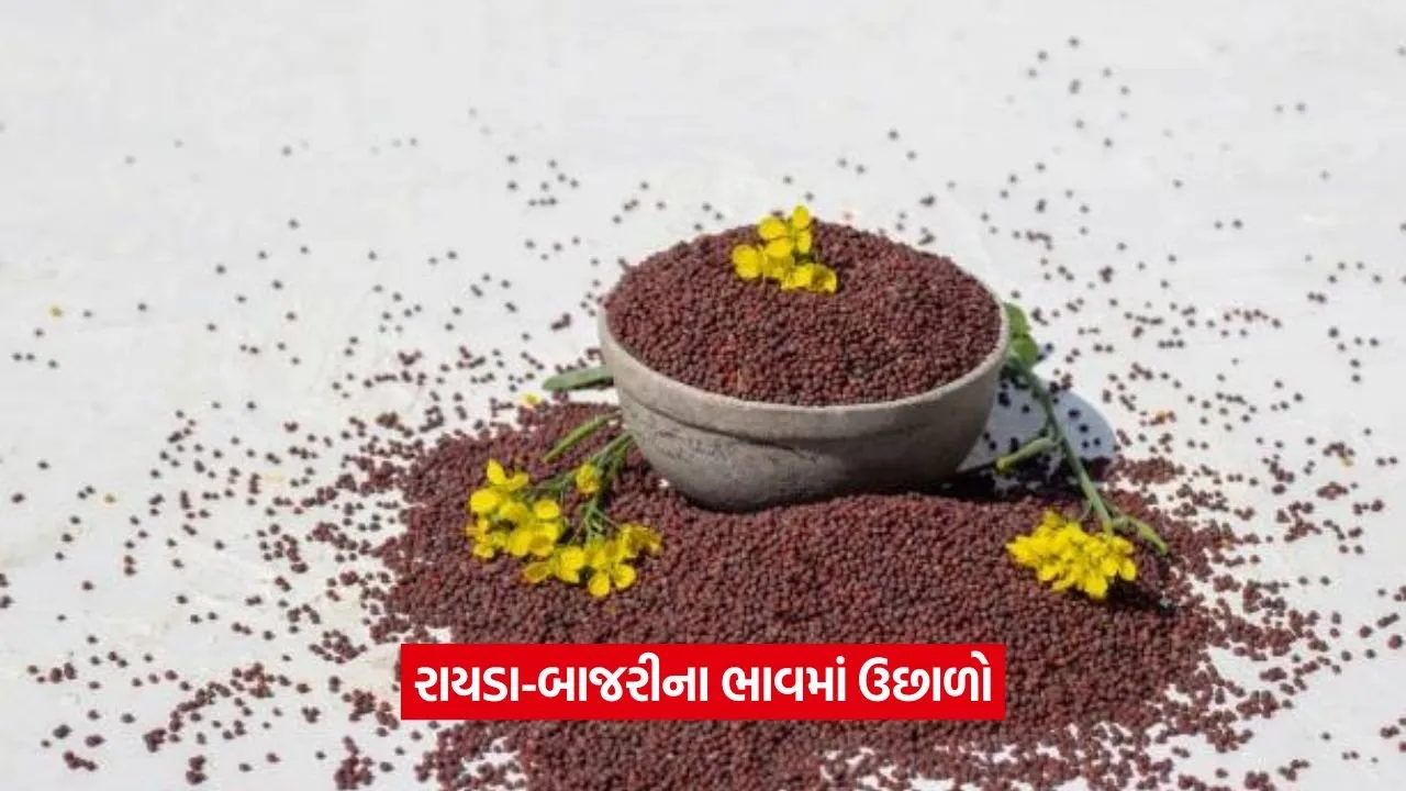 Mehsana Market Yard