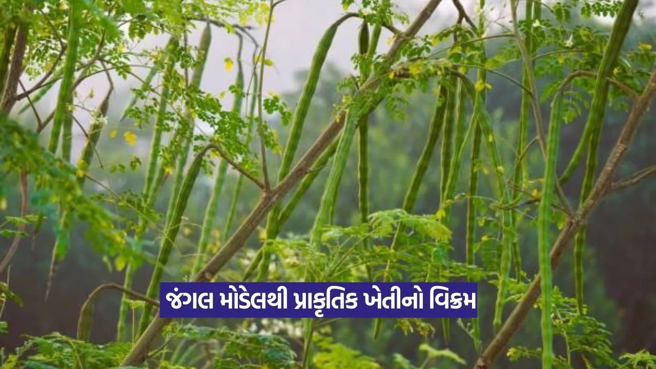 Natural Farming Jungle Model